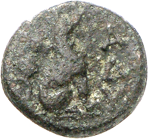 реверс CN Type cn.madytus.1_ed.17