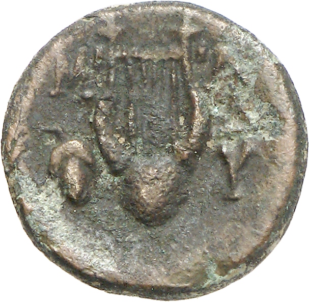 реверс CN Type cn.madytus.1_ed.19