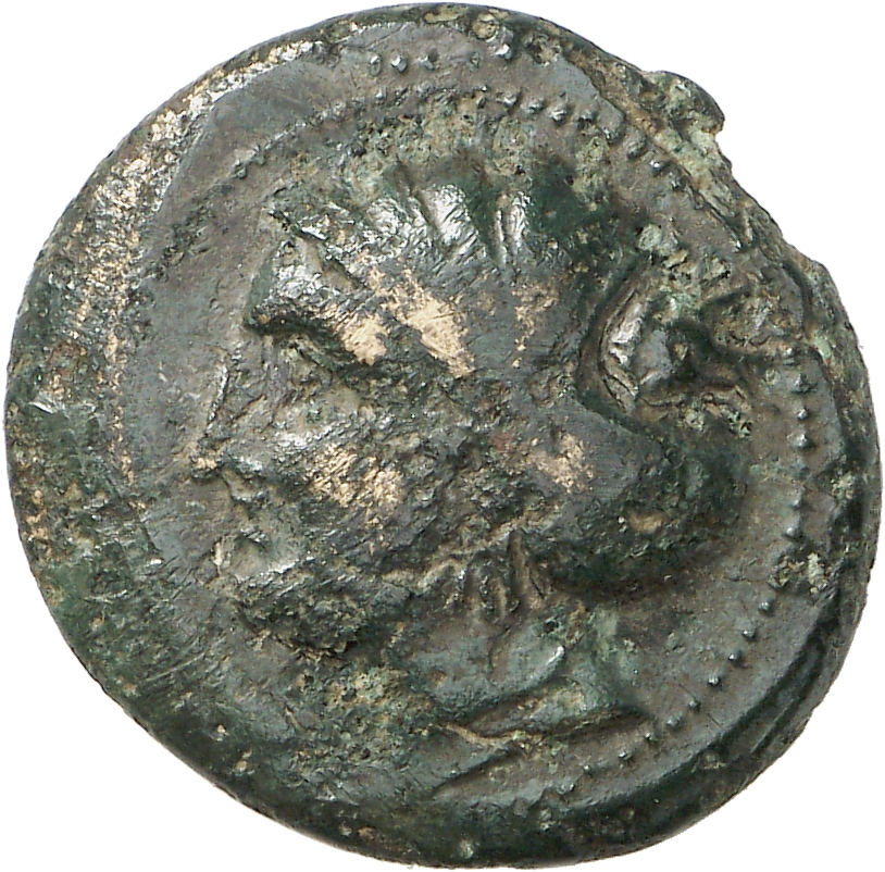 аверс CN Type cn.sestus.1_ed.8