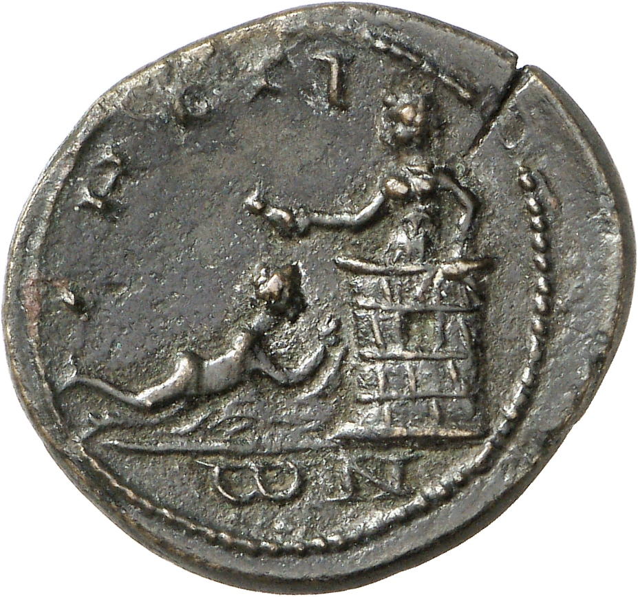 реверс CN Type cn.sestus.1_ed.87