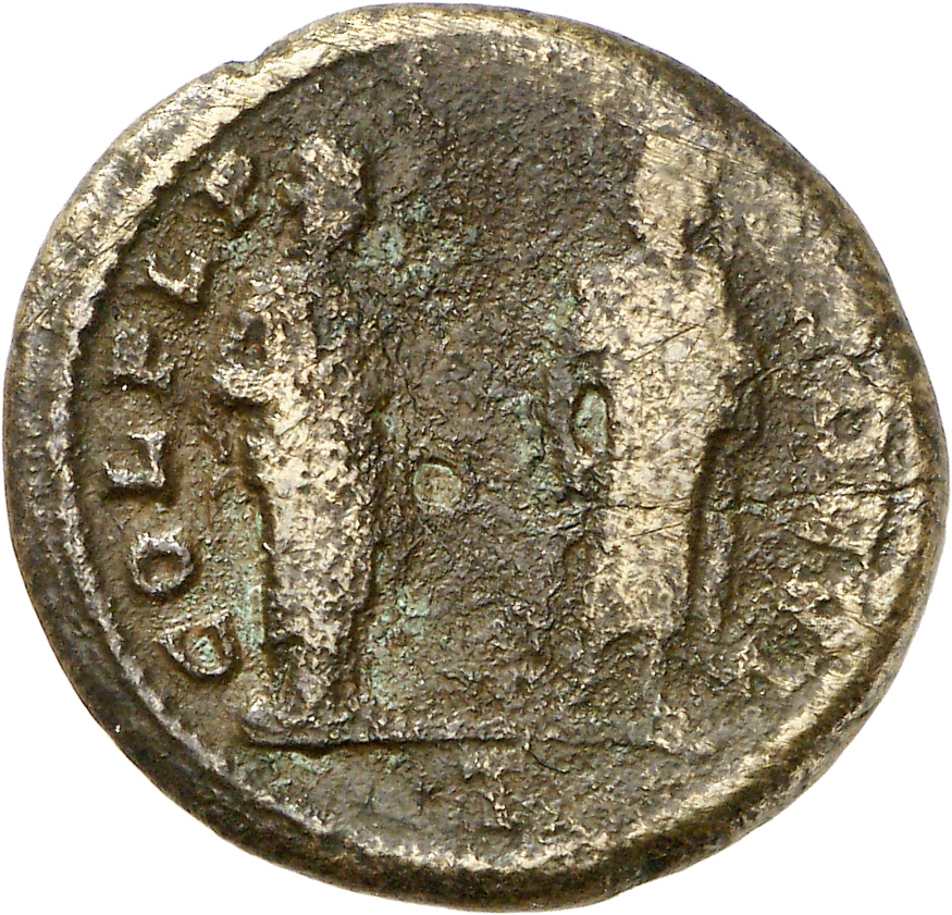 CN Type 34, реверс, cn-coins