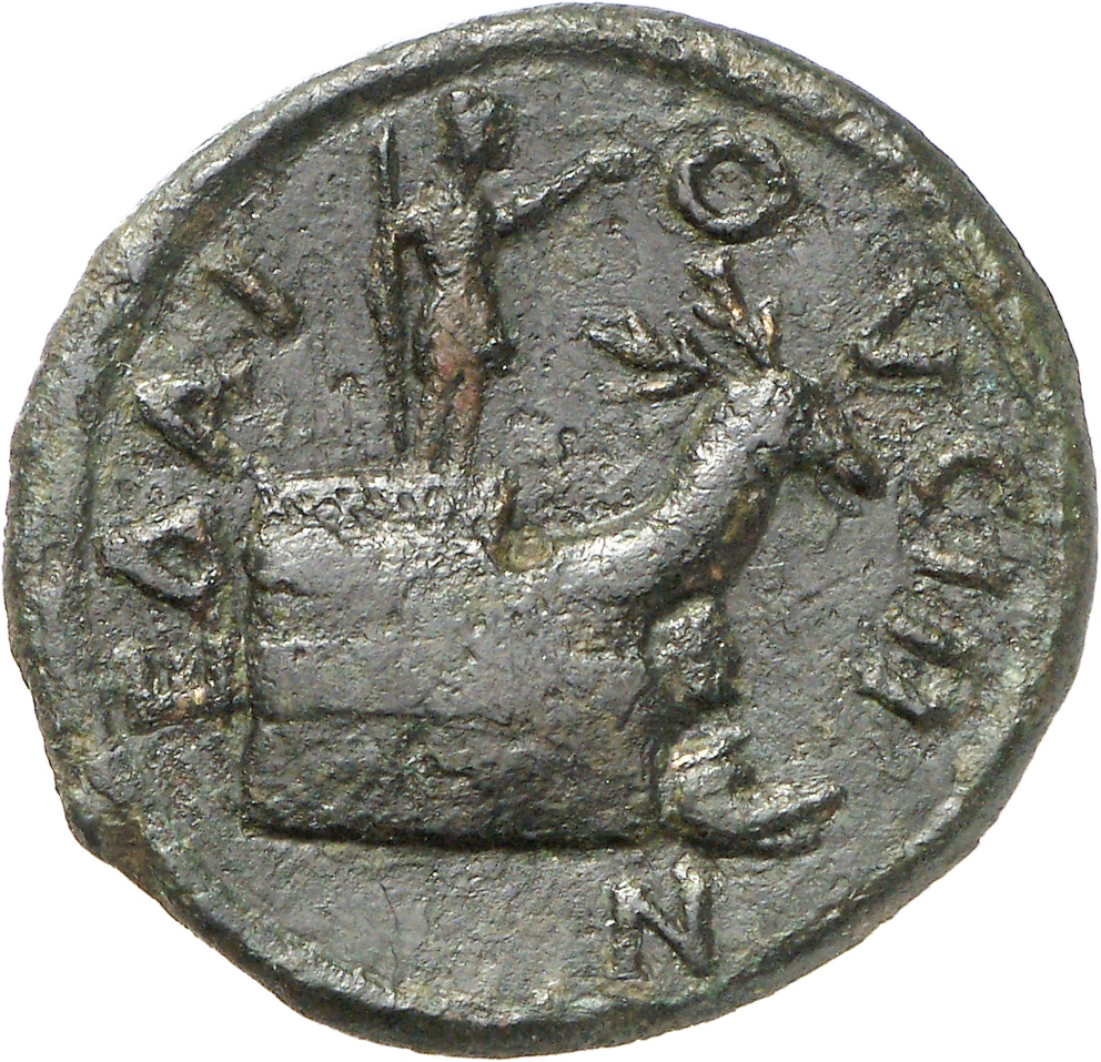 reverse CN Type cn.elaeus.1_ed.24