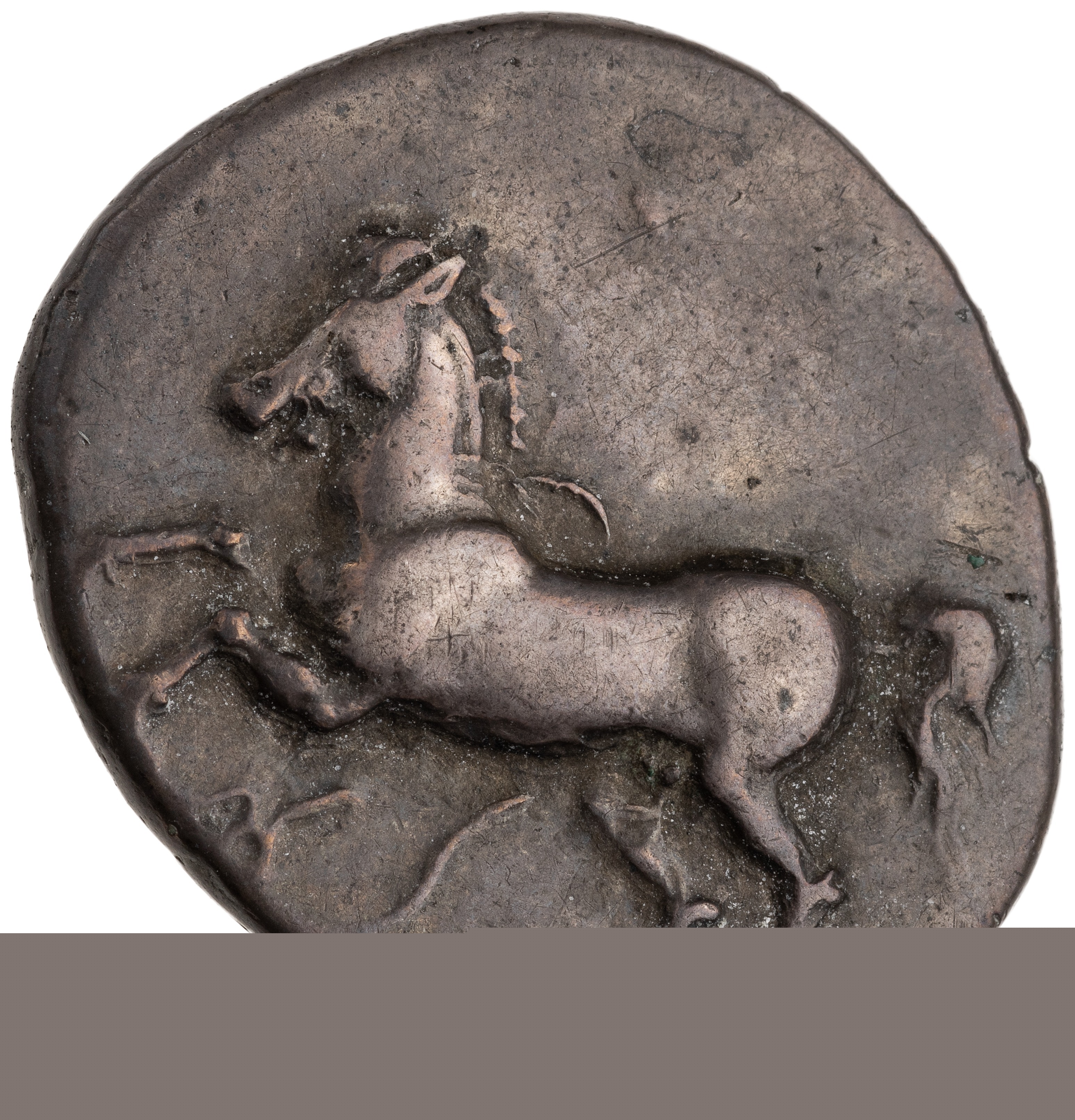 CN Type cn.maroneia.1_ed.161, аверс, cn-coins