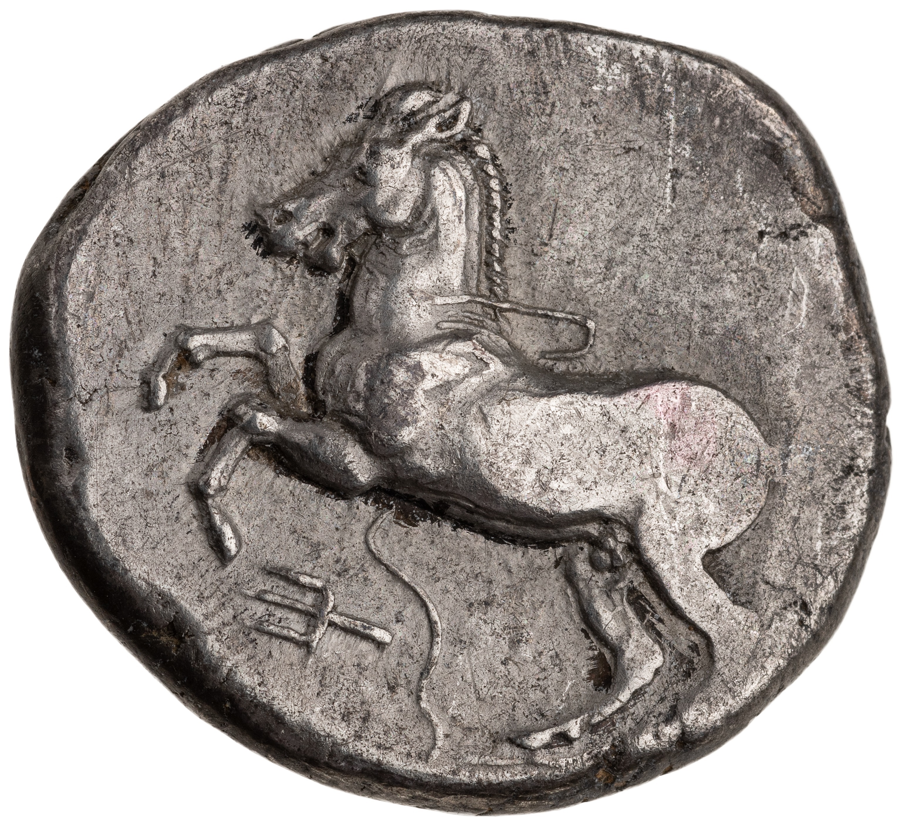 CN Type cn.maroneia.1_ed.148, аверс, cn-coins