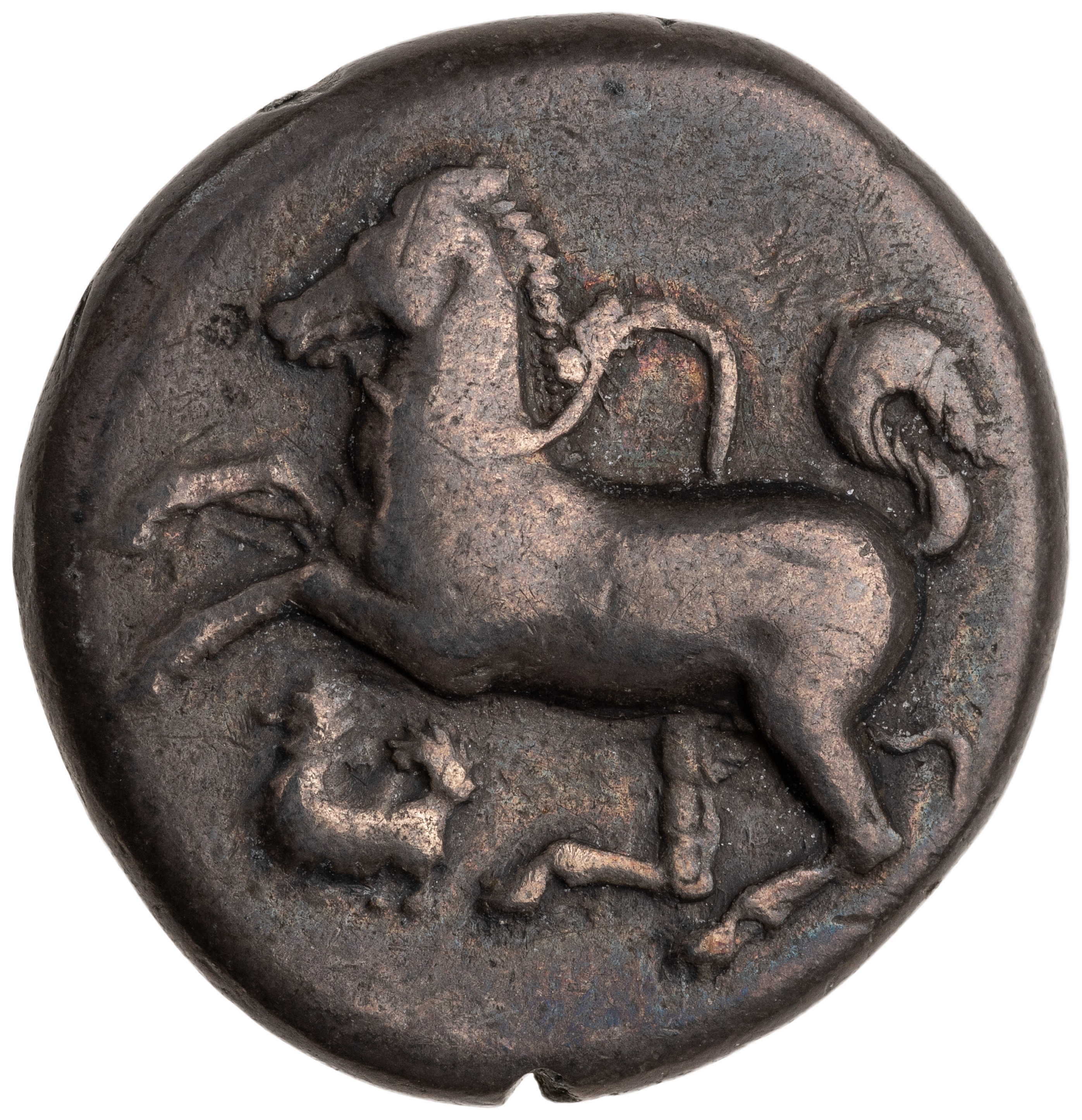 CN Type cn.maroneia.1_ed.150, аверс, cn-coins