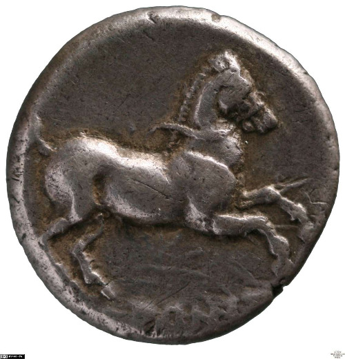 CN Type cn.maroneia.1_ed.152, аверс, cn-coins