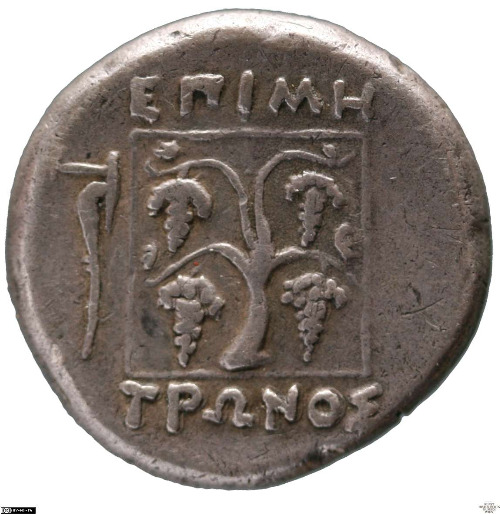 CN Type cn.maroneia.1_ed.152, реверс, cn-coins