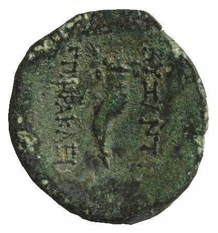 coin rev