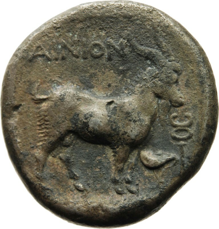 CN Type cn.aenus.1_ed.91, реверс, cn-coins