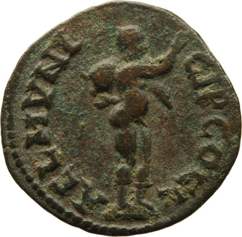 reverse CN Type cn.coela.1_ed.117