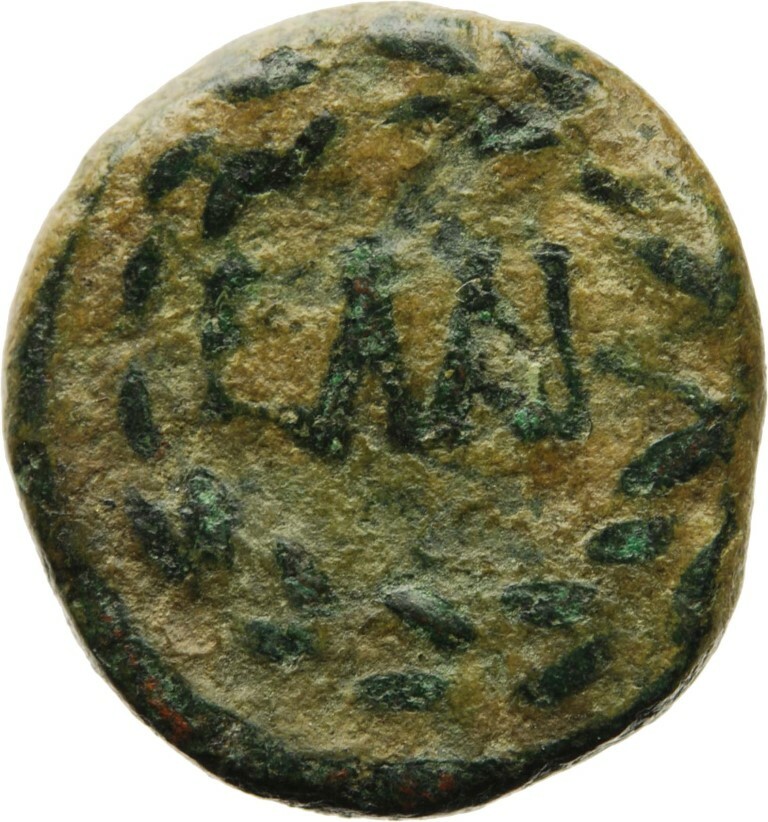 reverse CN Type cn.elaeus.1_ed.12