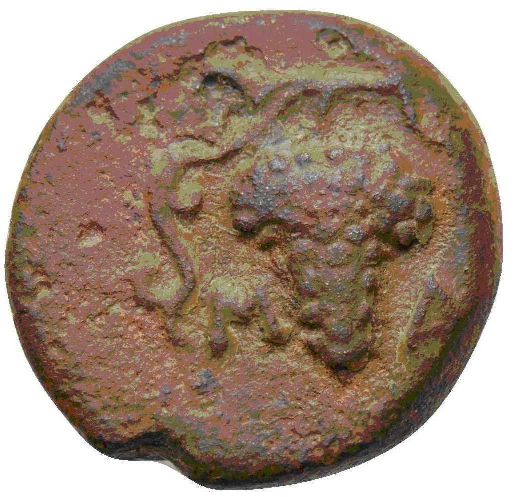 coin rev