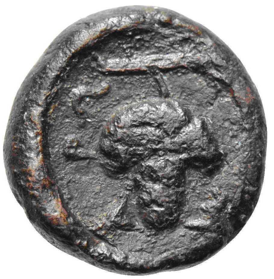 reverse CN Type cn.maroneia.1_ed.101