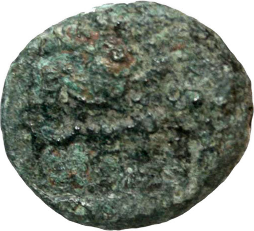 CN Type cn.abdera_thrace.1_ed.284, аверс, cn-coins