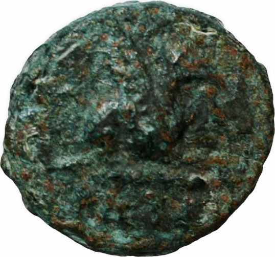 CN Type cn.abdera_thrace.1_ed.284, аверс, cn-coins