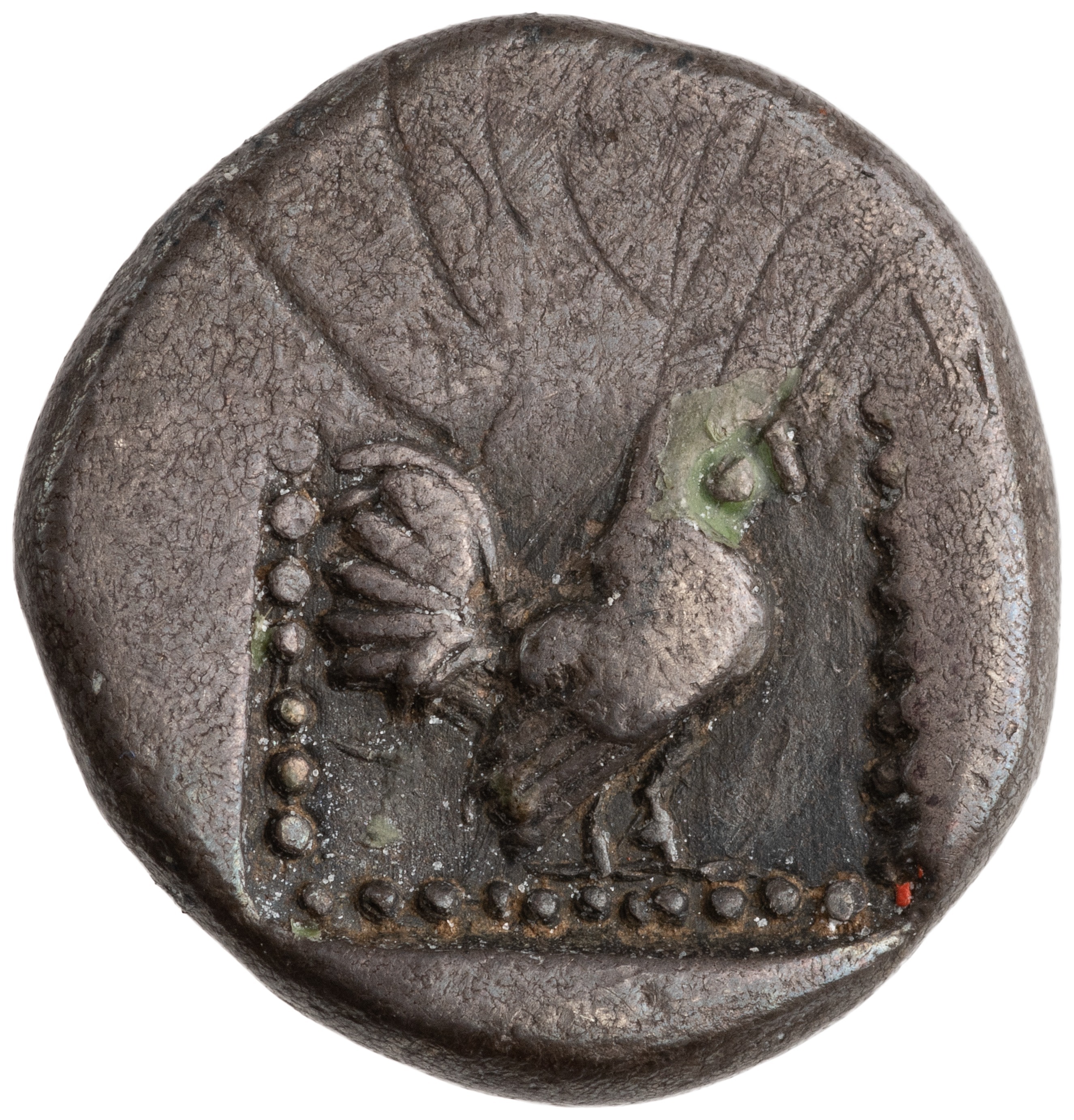 CN Type cn.dicaea_thrace.1_ed.13, реверс, cn-coins