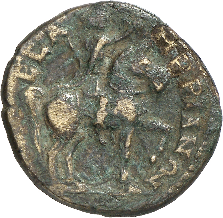 reverse CN Type cn.mesembria.1_ed.255
