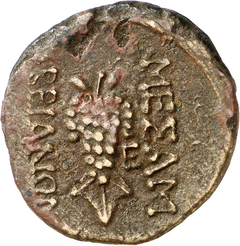 реверс CN Type cn.mesembria.1_ed.185