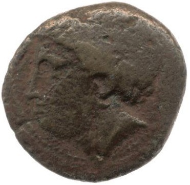 obverse CN Type cn.cardia.2_ed.9