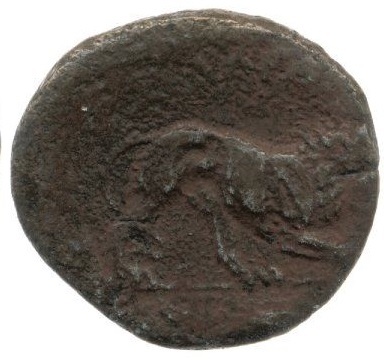 reverse CN Type cn.cardia.2_ed.9