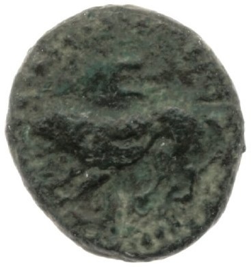 CN Type cn.cardia.2_ed.30, аверс, cn-coins