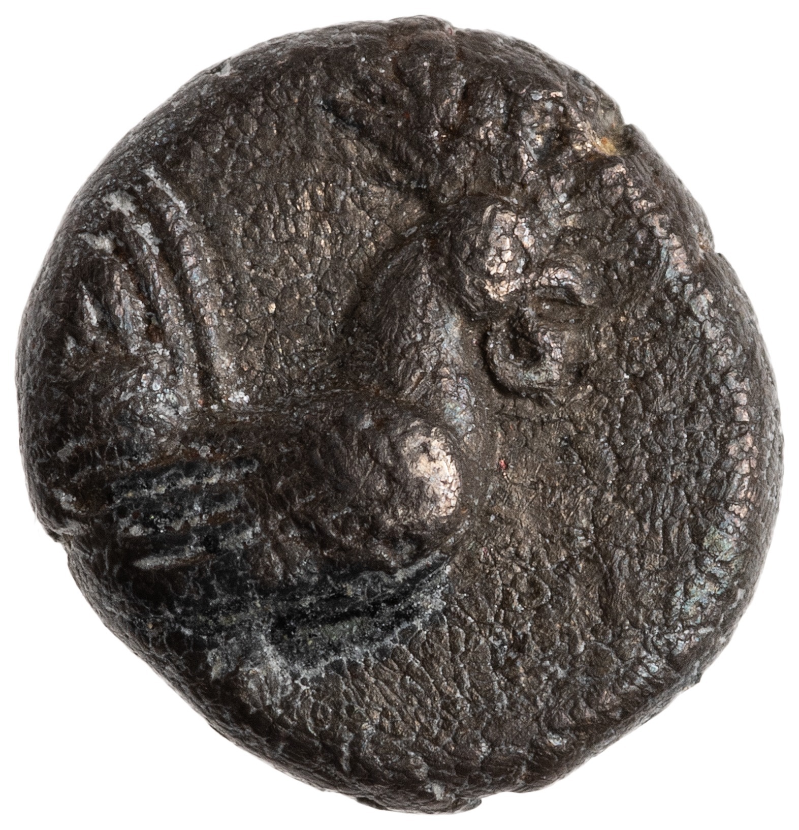 obverse CN Type cn.selymbria.1_ed.6