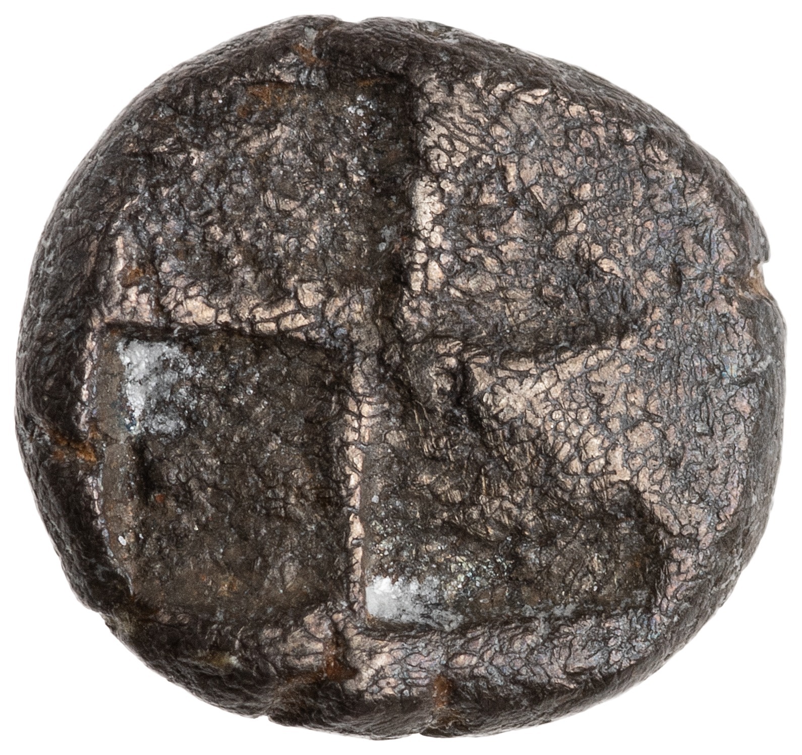 reverse CN Type cn.selymbria.1_ed.6