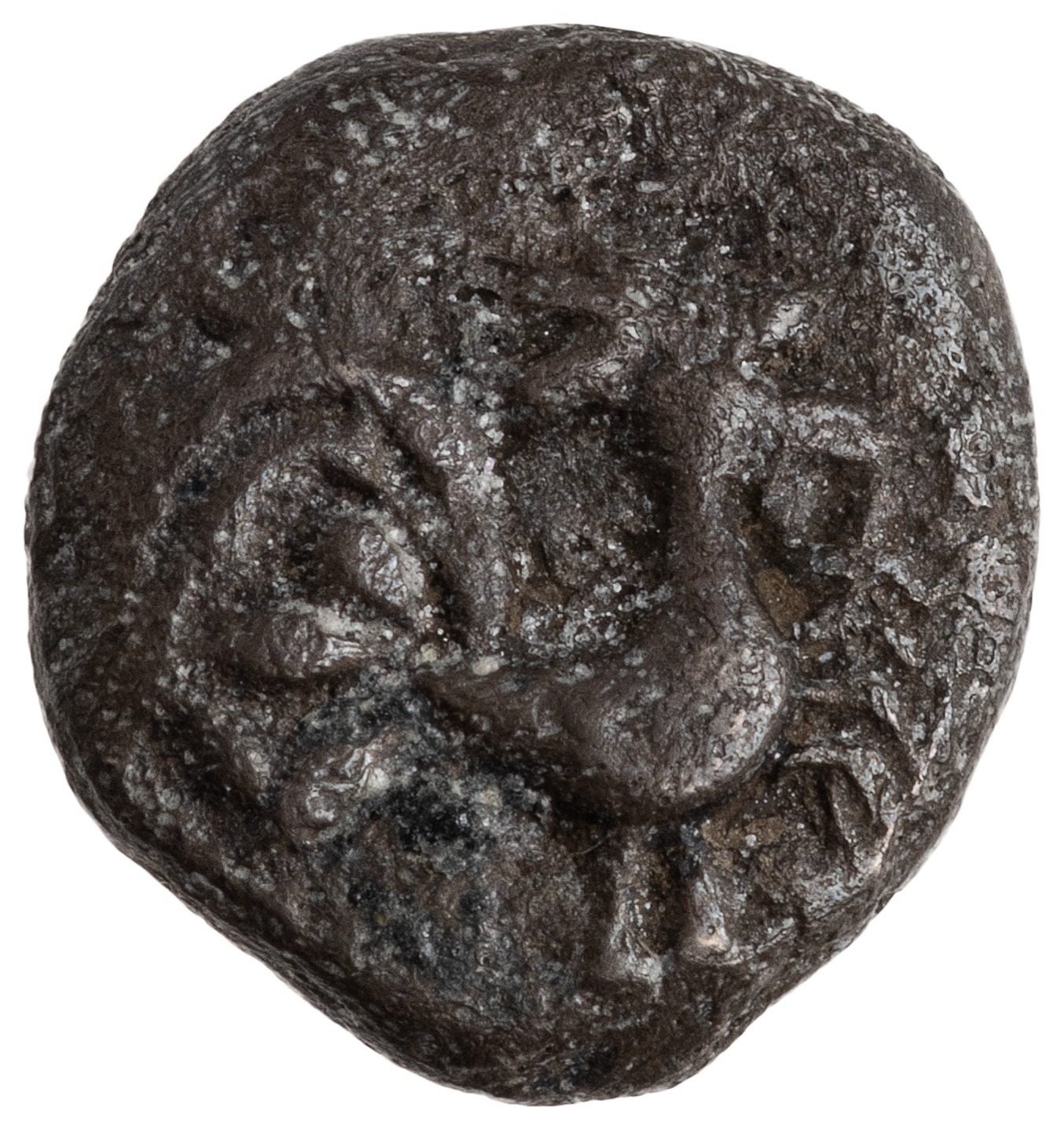 coin obv