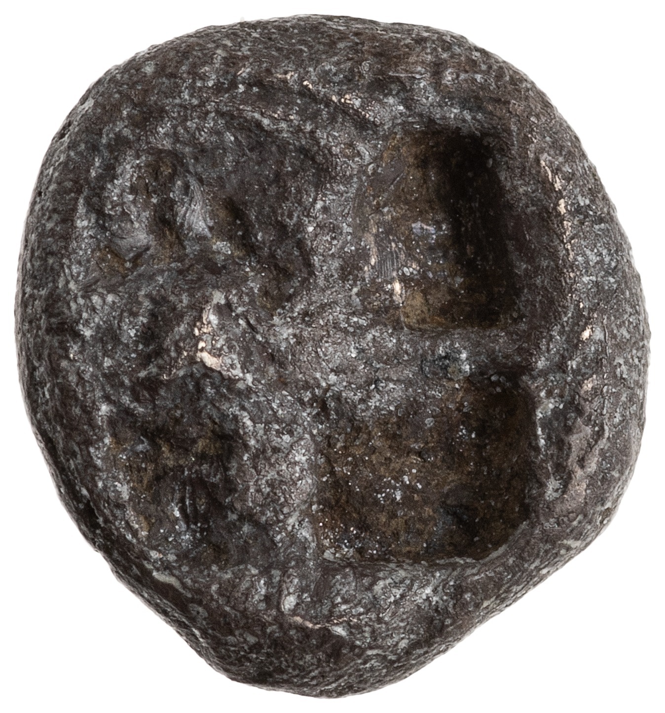 reverse CN Type cn.selymbria.1_ed.12