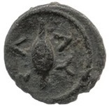 реверс CN Type cn.selymbria.1_ed.20