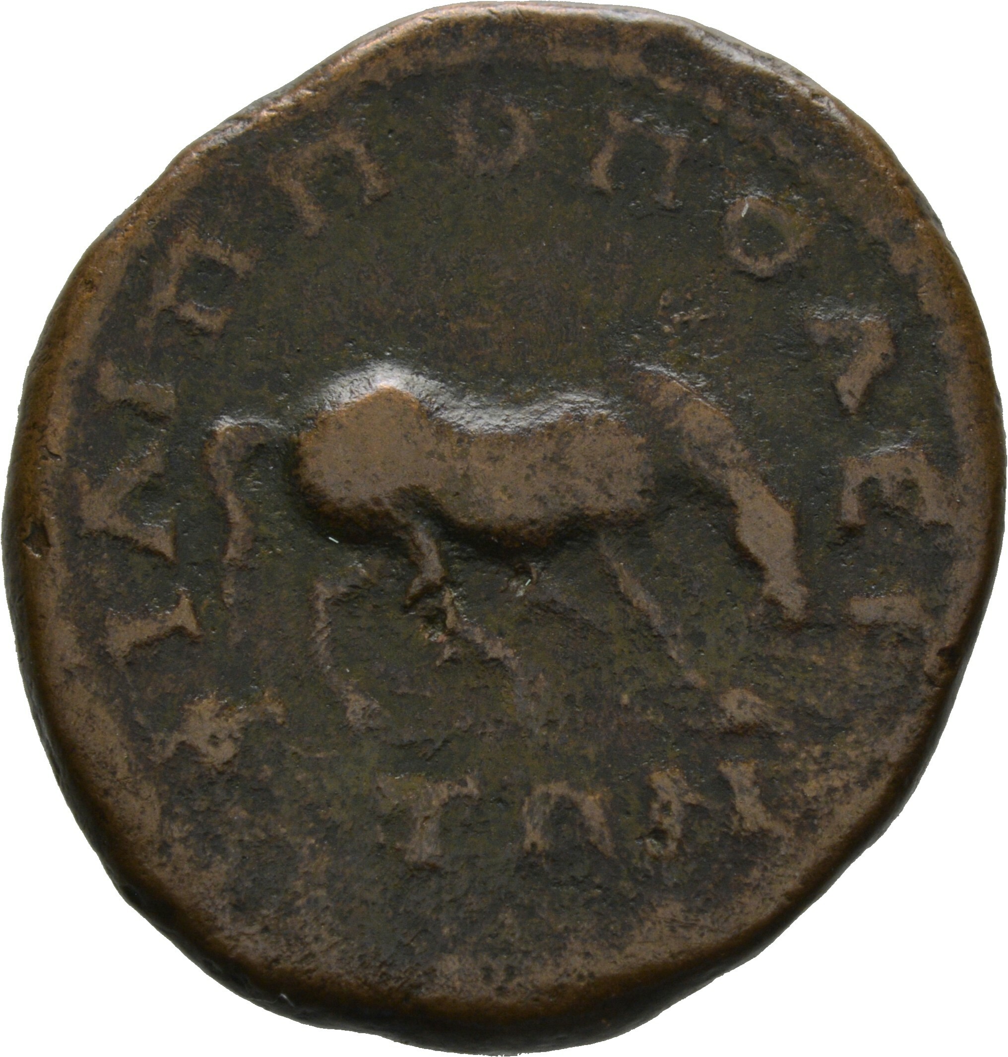 coin rev