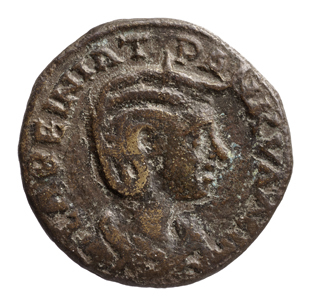 CN Type cn.perinthus.1_ed.555, аверс, cn-coins