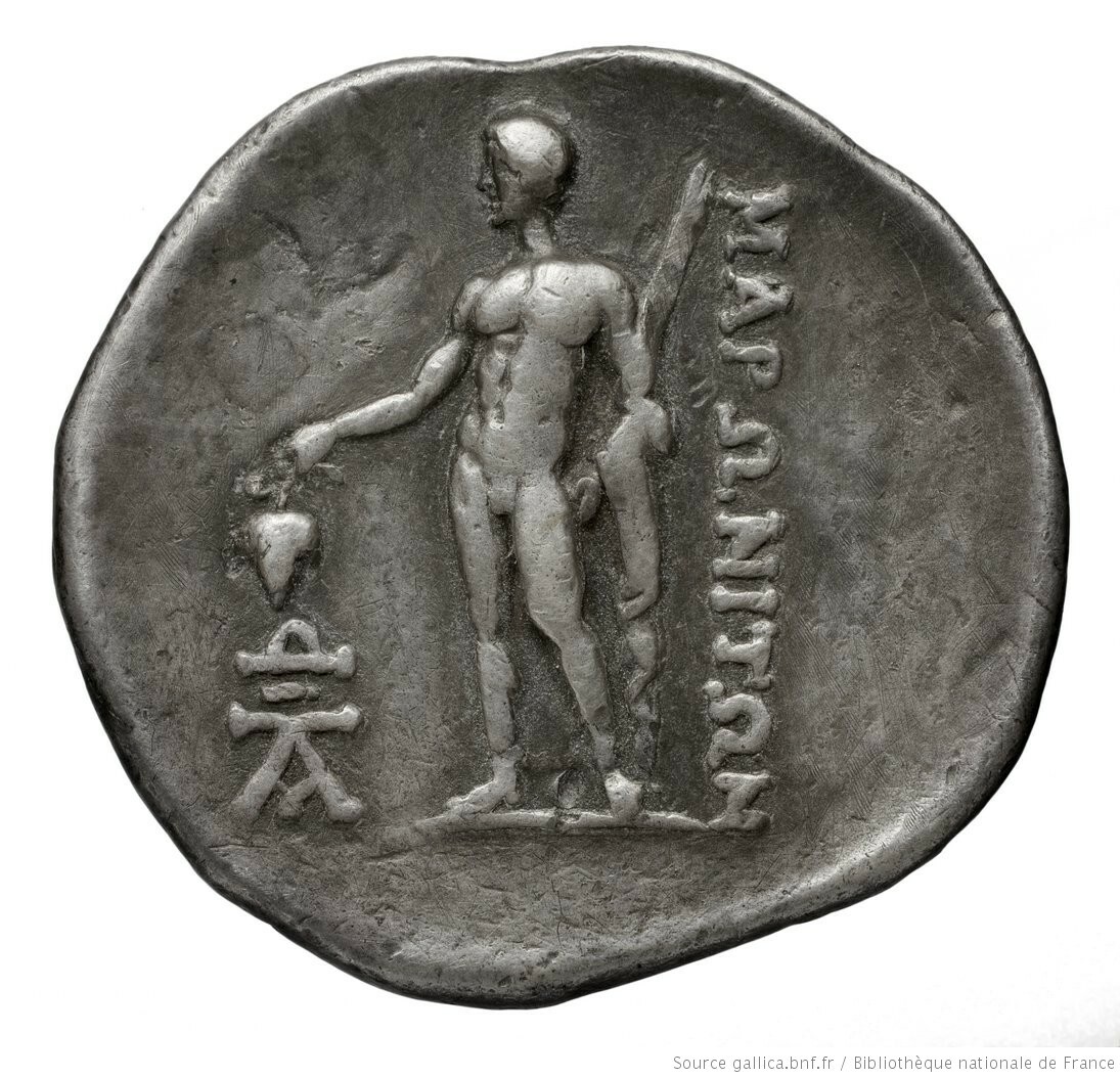 реверс CN Type cn.maroneia.1_ed.364