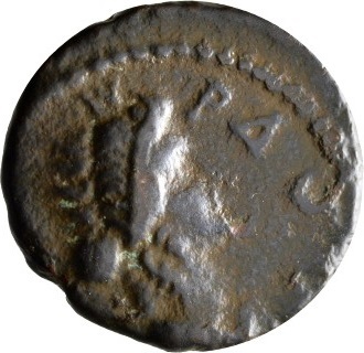CN Type cn.serdica.1_ed.173, реверс, cn-coins