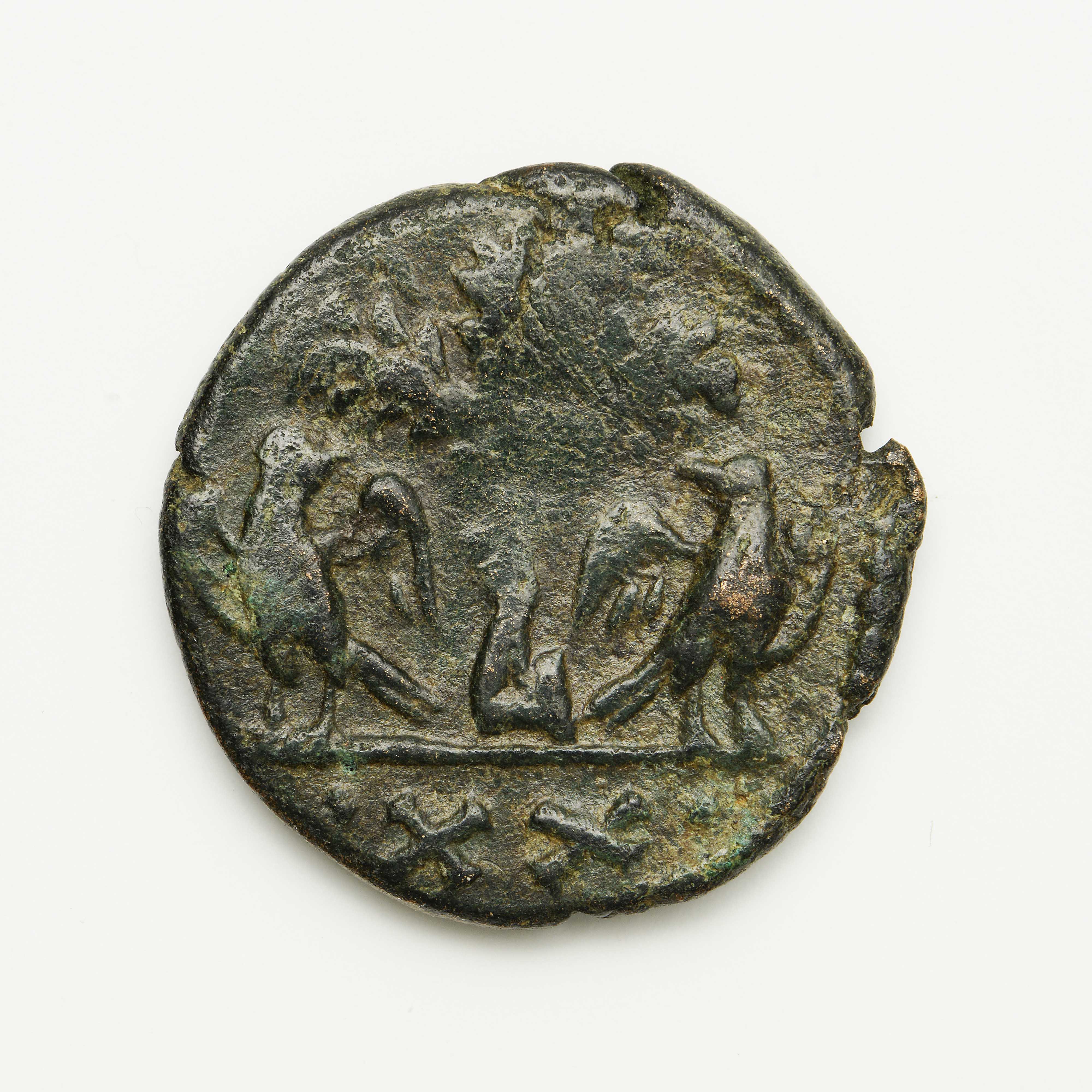 Theodoric — Half Follis (Rome, 493), реверс, do_byzant