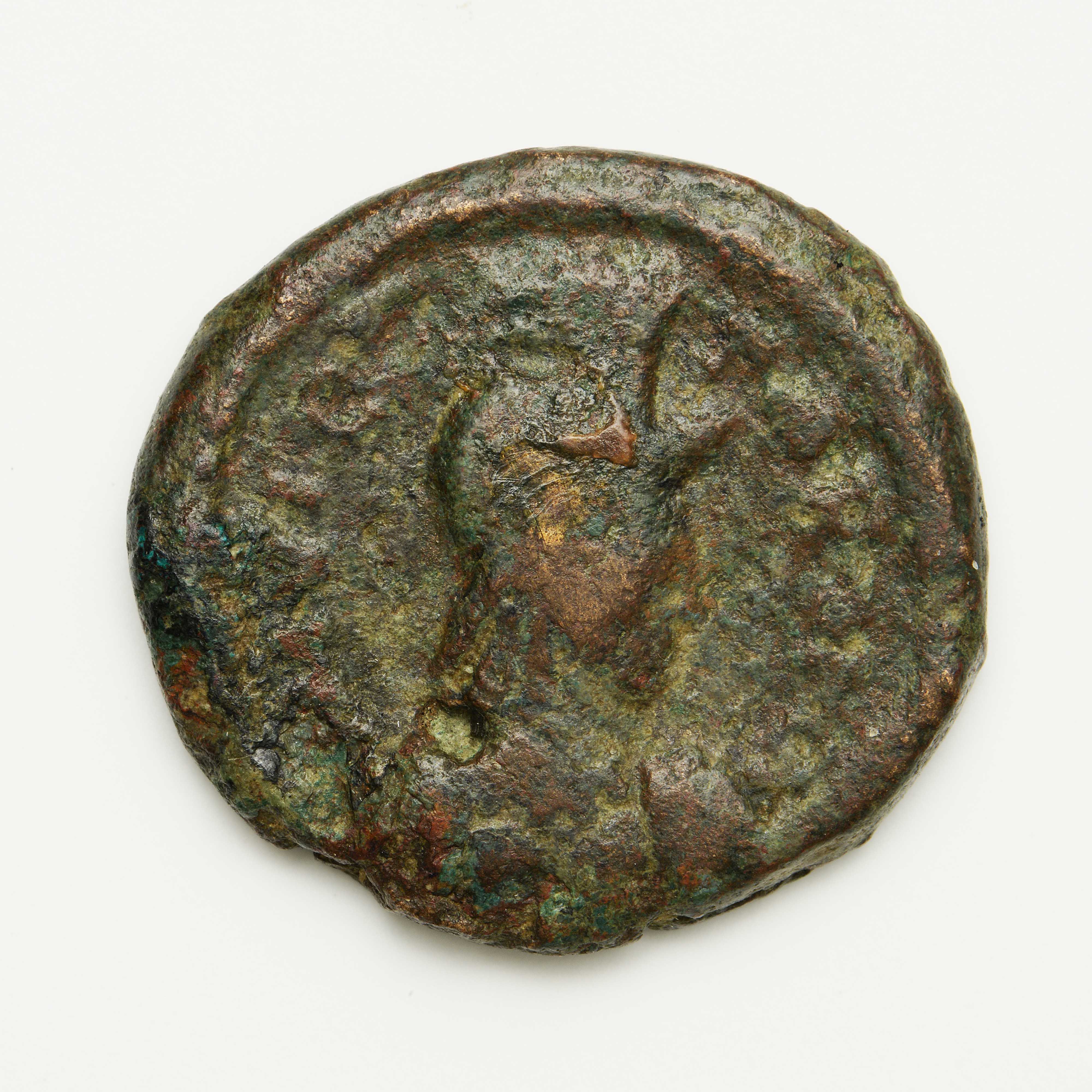 Theodoric — Half Follis (Rome, 493), аверс, do_byzant