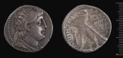 аверс Seleucid Coins (part 2) 2195.5