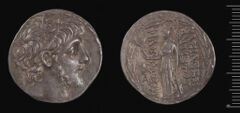 аверс Seleucid Coins (part 2) 2363b