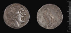 Coins of the Ptolemaic Empire Vol. I, Part 1, no. 132, harvard
