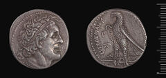 Coins of the Ptolemaic Empire Vol. I, Part 1, no. 168, harvard