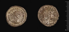 RIC V Probus 922, harvard