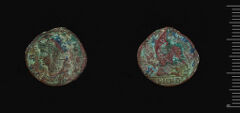 RIC VII Nicomedia 195, harvard