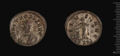 obverse RIC V Probus 499