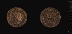 RIC V Diocletian 607, harvard