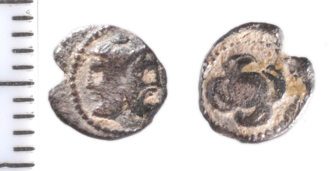 Samarian Coinage 206, аверс, sitnam