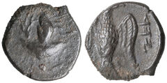 Yehud Medinata rev