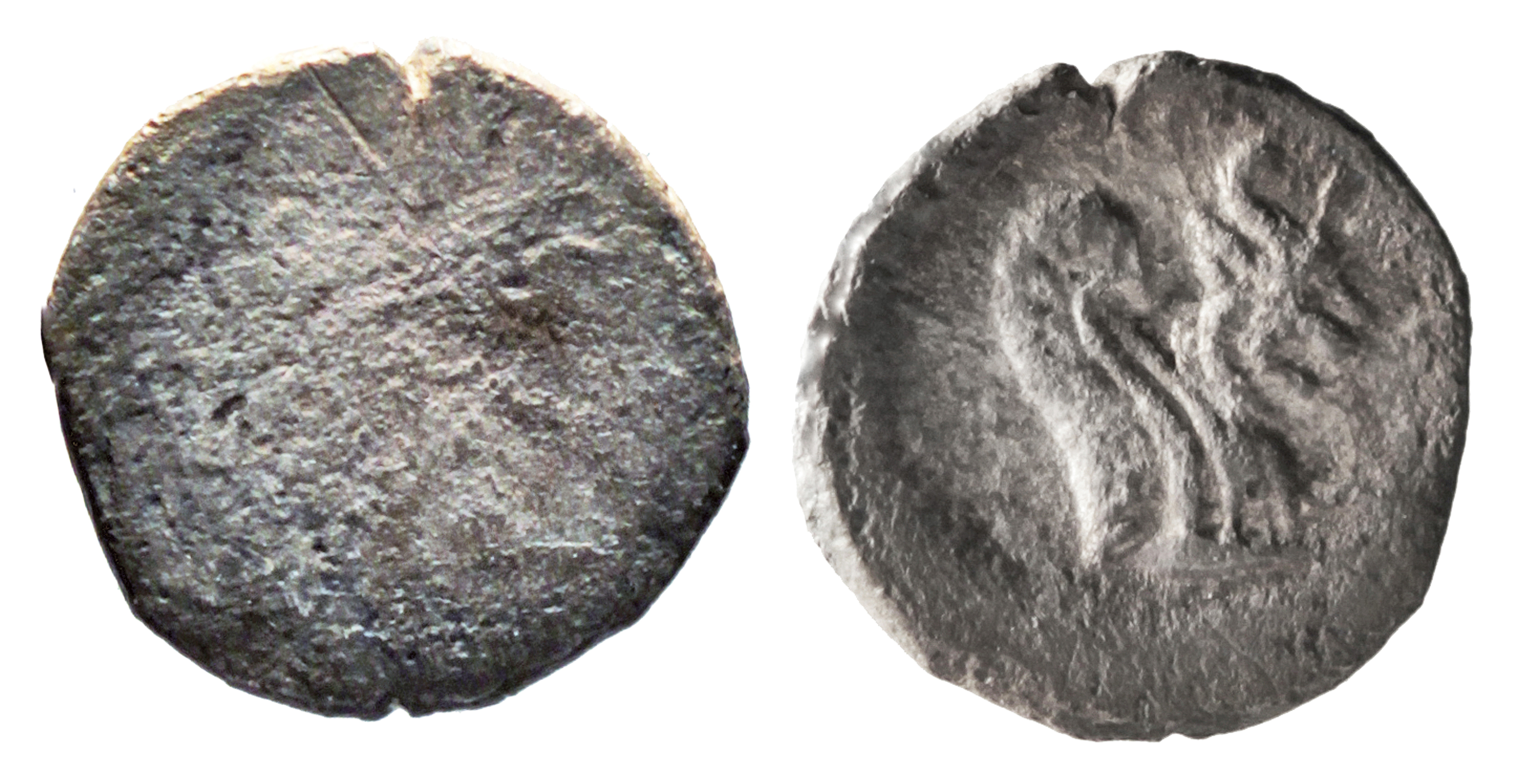 Yehud Coinage 20, аверс, sitnam