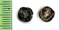 Samarian Coinage 277, реверс, sitnam