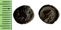 Samarian Coinage 217, реверс, sitnam