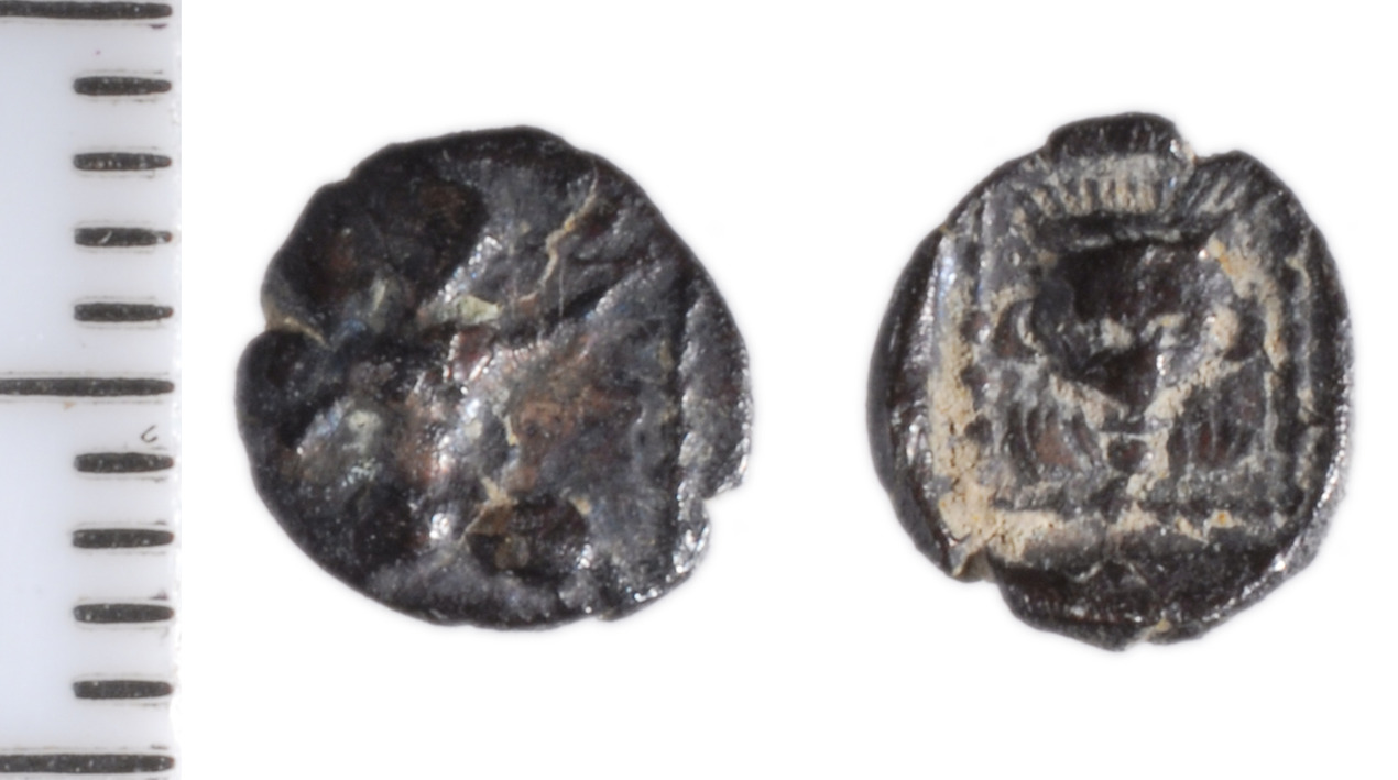 Samarian Coinage 243, аверс, sitnam